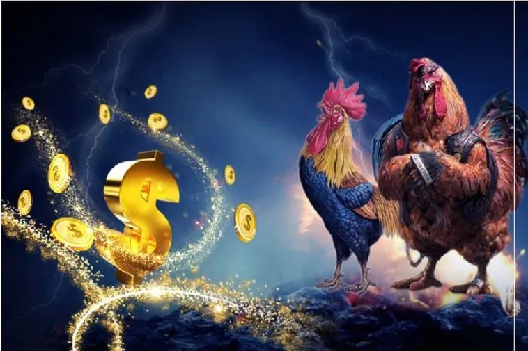 Đá Gà U888: Tham Gia Ngay Để Trải Nghiệm Kịch Tính Đỉnh Cao!