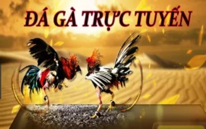 Đá Gà WS168 Tại U888: Chinh Phục Đấu Trường Kịch Tính Ngay Hôm Nay!